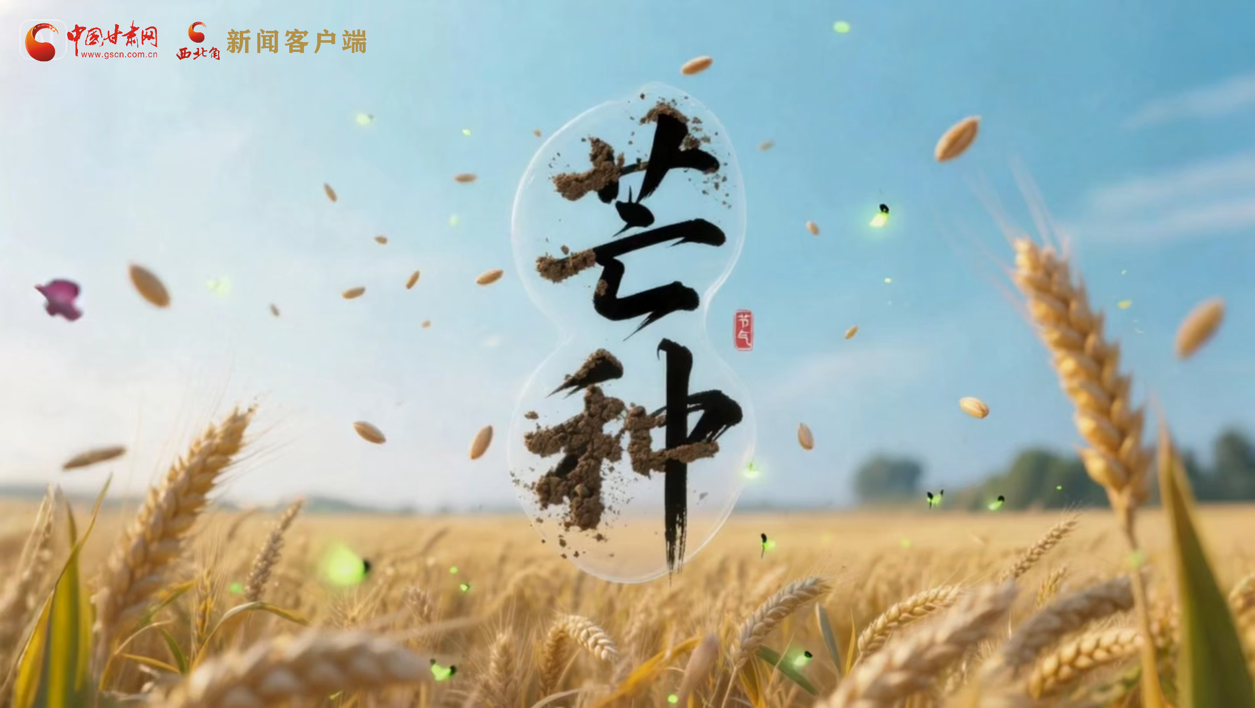 AI視頻|芒種：“芒”在當(dāng)下 “種”在未來