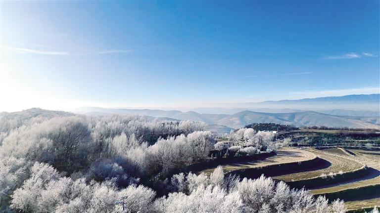 霧凇花開(kāi)美如畫(huà)