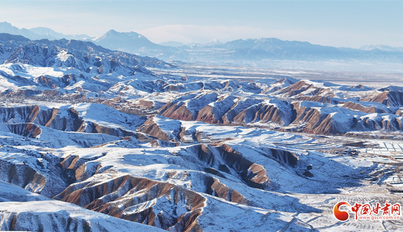 隴拍客丨祁連山萬(wàn)頃沃野顯生機(jī)