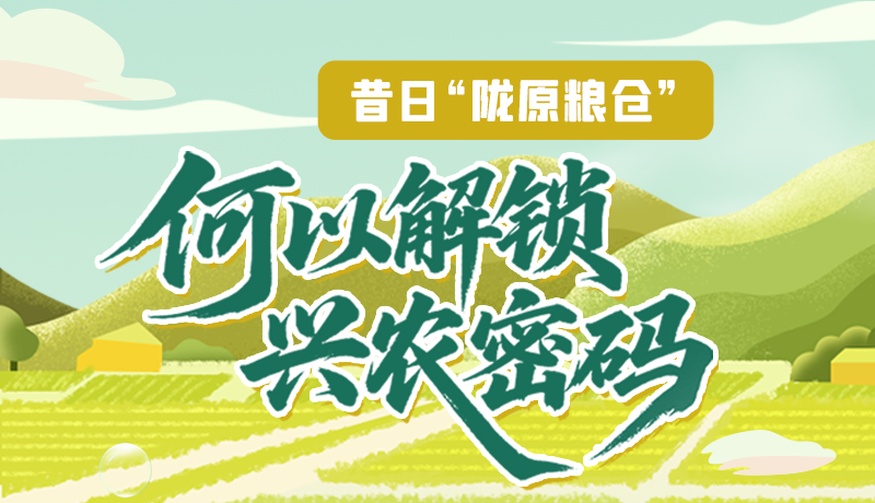 【理響中國(guó)·話隴點(diǎn)睛（3）】昔日“隴原糧倉(cāng)”，何以解鎖“興農(nóng)密碼”