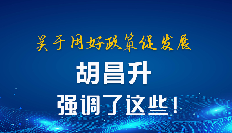 圖解|關(guān)于用好政策促發(fā)展 胡昌升強(qiáng)調(diào)了這些！